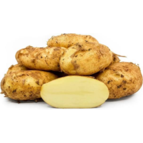 Cyprus Potato