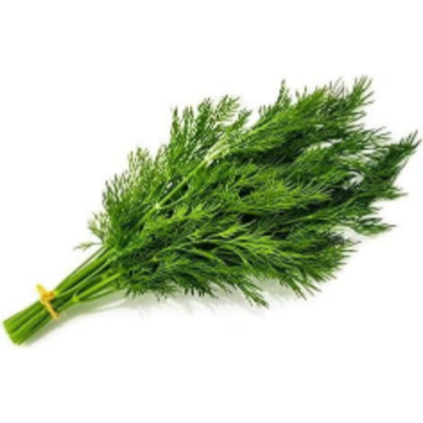 Dill(bunch)