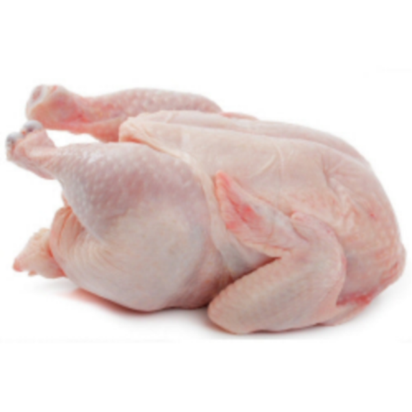 Large Chicken