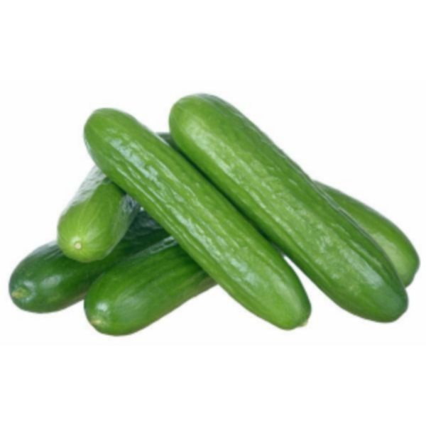 Long Cucumber
