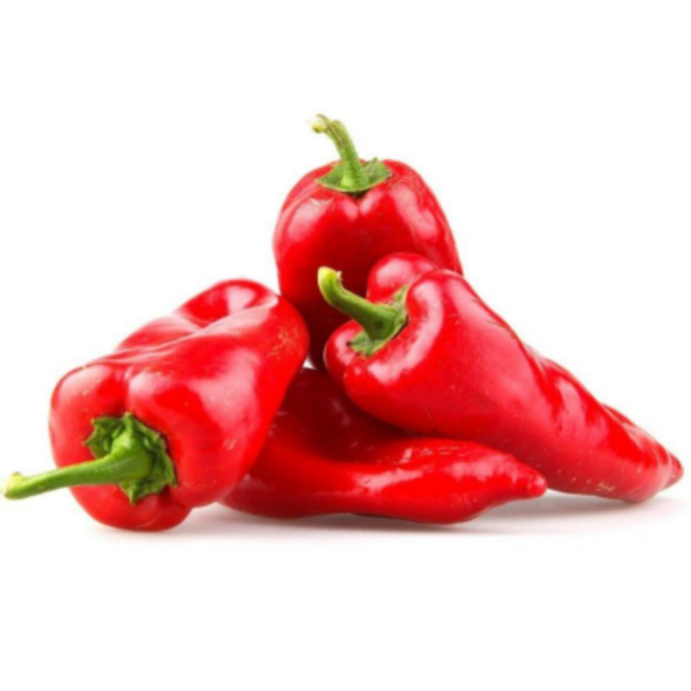Red Kapya Red Kapya - Image 1