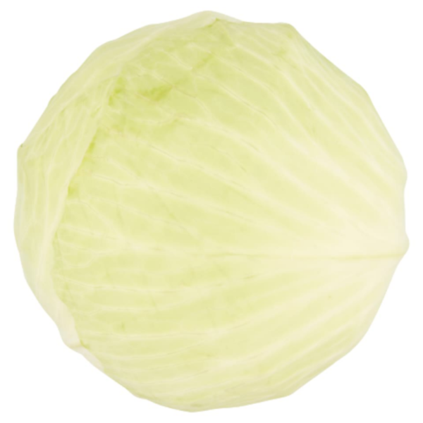 White Cabbage