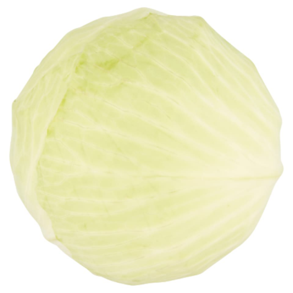 White Cabbage White Cabbage - Image 1