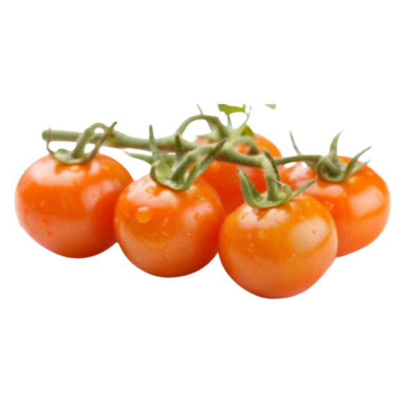 orange tomato