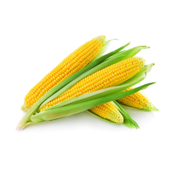 sweet corn