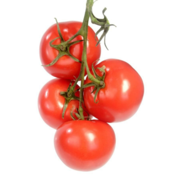 vine tomato