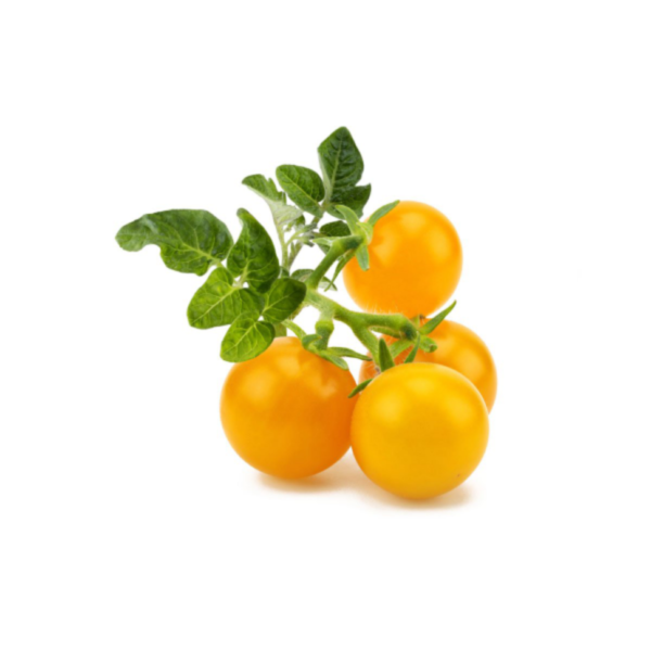 yellow tomato