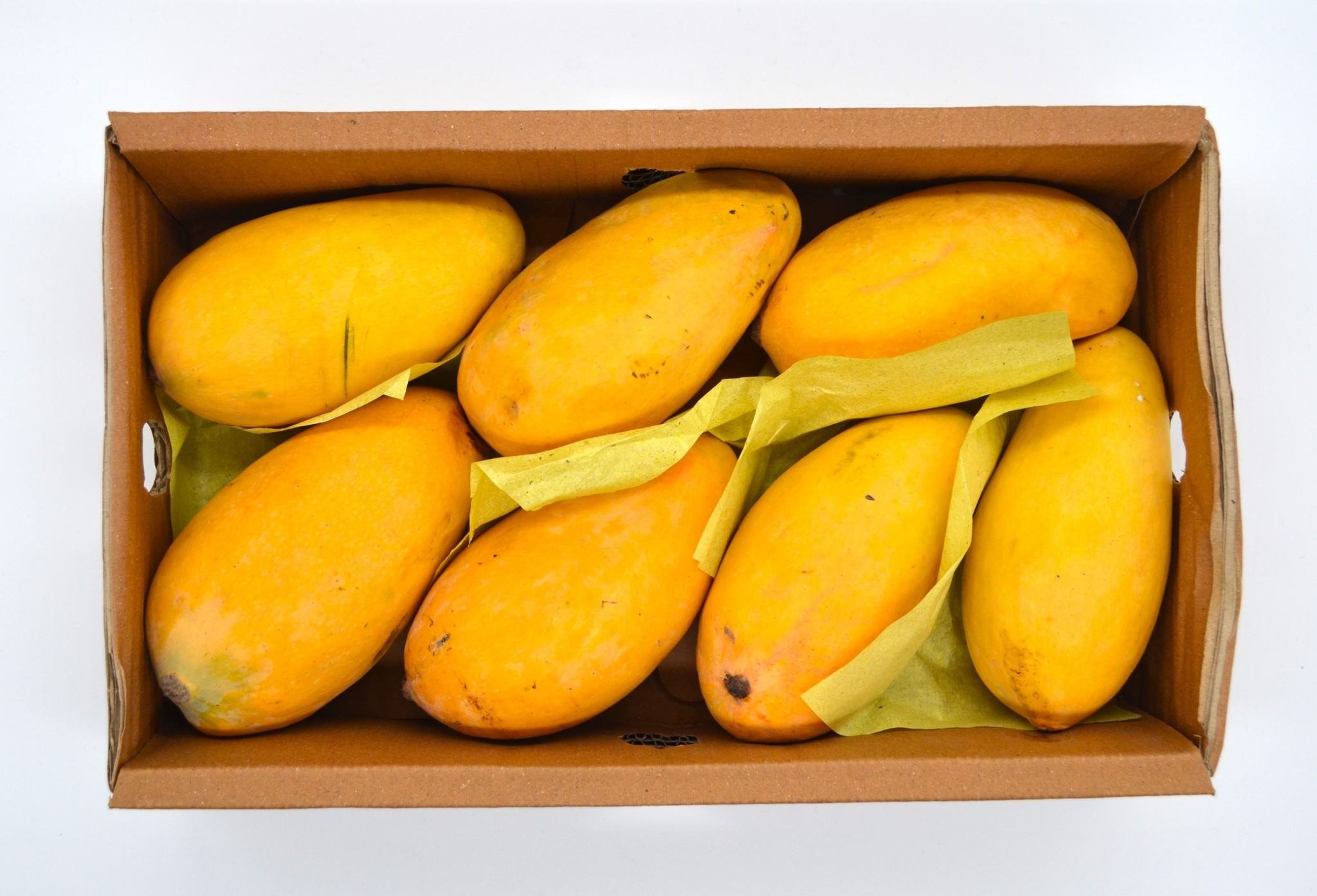 2026/06/1000082615.jpg Jumbo Pakistani Mangoes - Image 1
