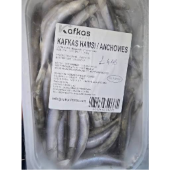 Kafkas Hamsi / Anchovies