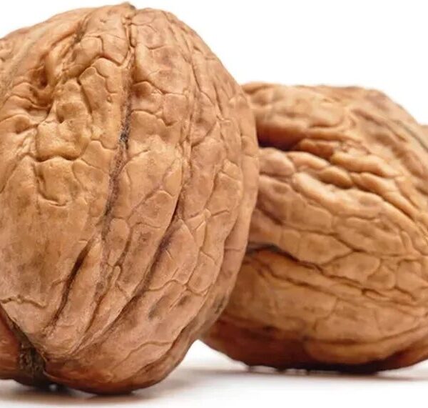 Walnut With Shell(kg)