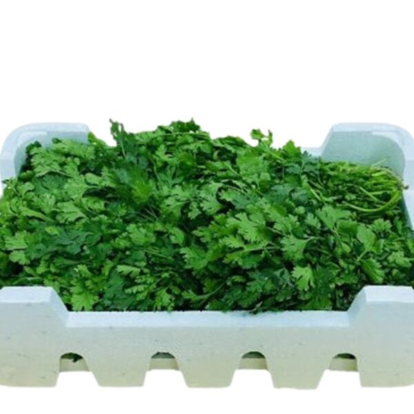 Box of Coriander (20 bunches)
