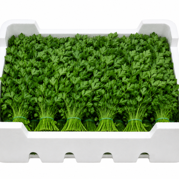 Box of Parsley (20 bunches)