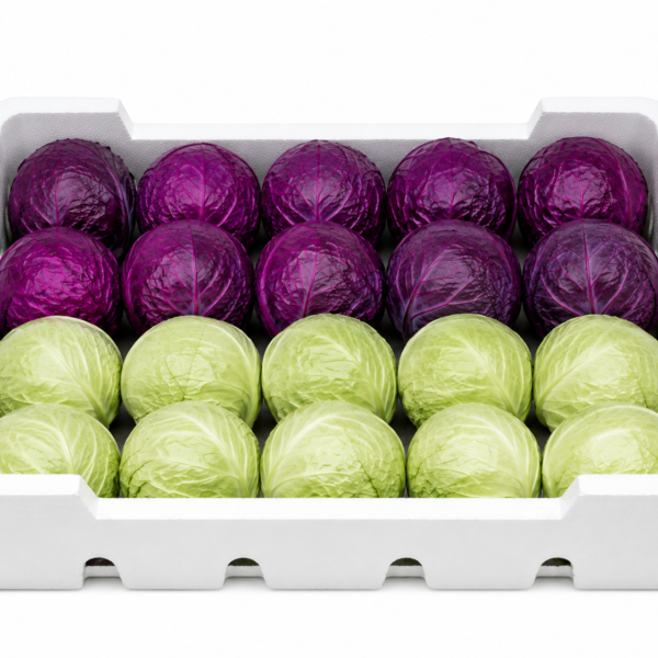 Red&White Cabbage Box(10kg)