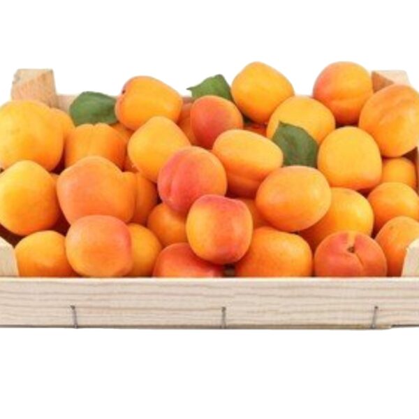 Apricot Box
