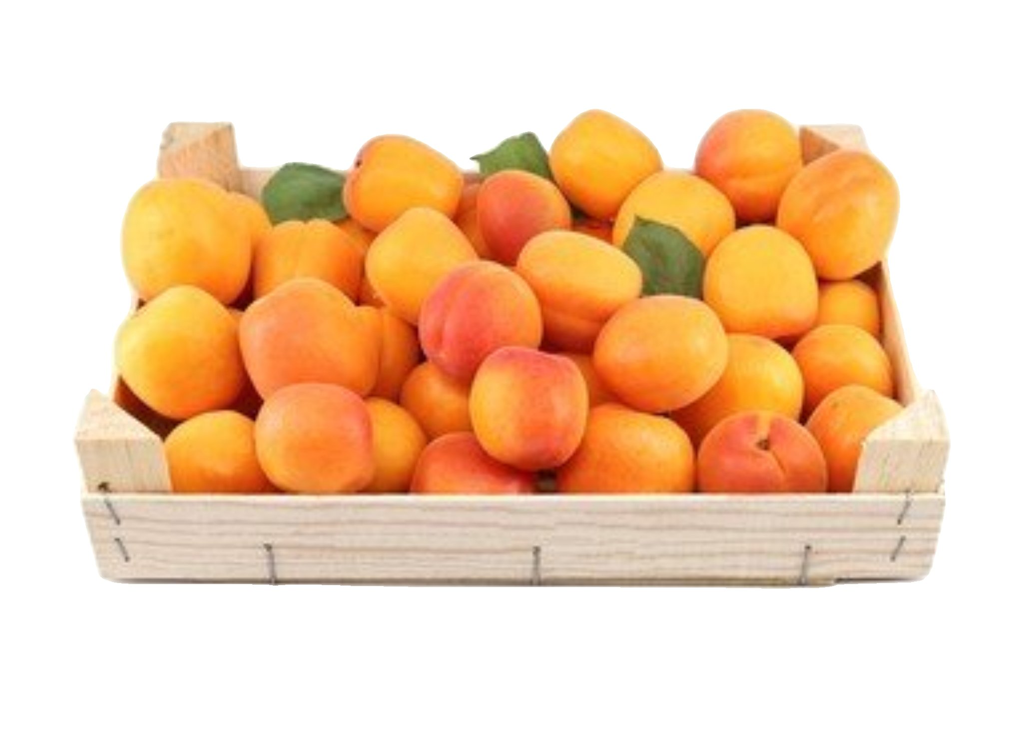 2026/07/wp-1783528890042.jpg Apricot Box - Image 1