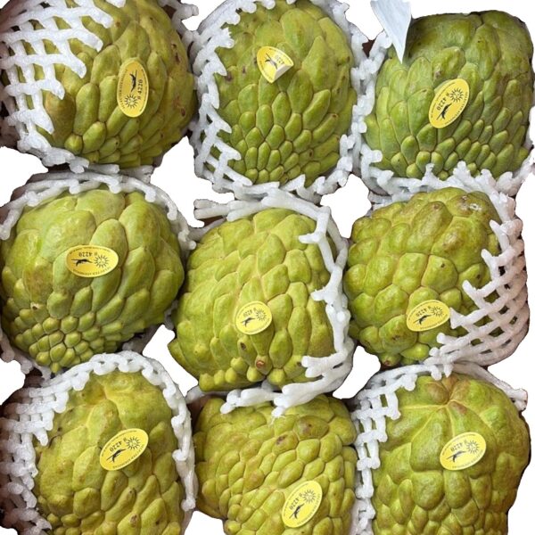Custard Apple (each)