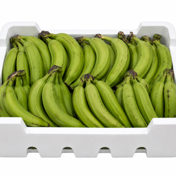 Green Plantain Box