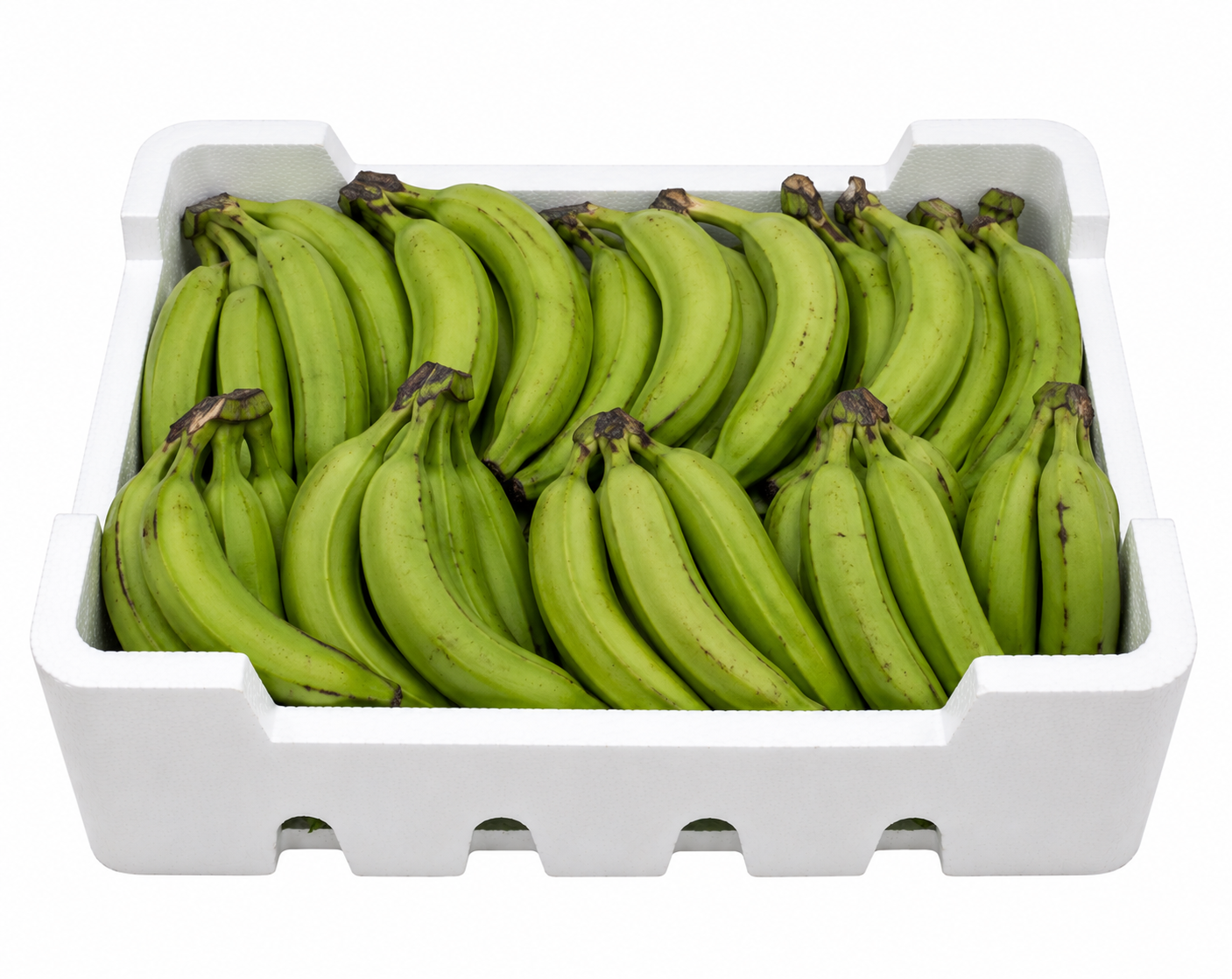 2026/08/1661.png Green Plantain Box - Image 1