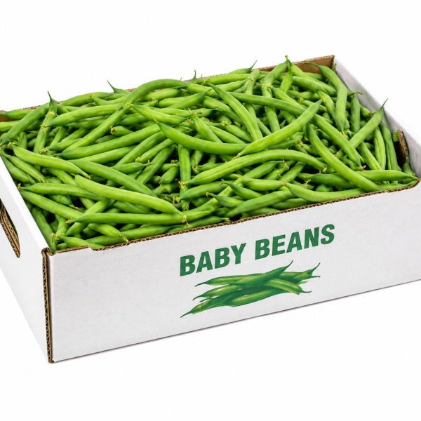 Baby Beans Box