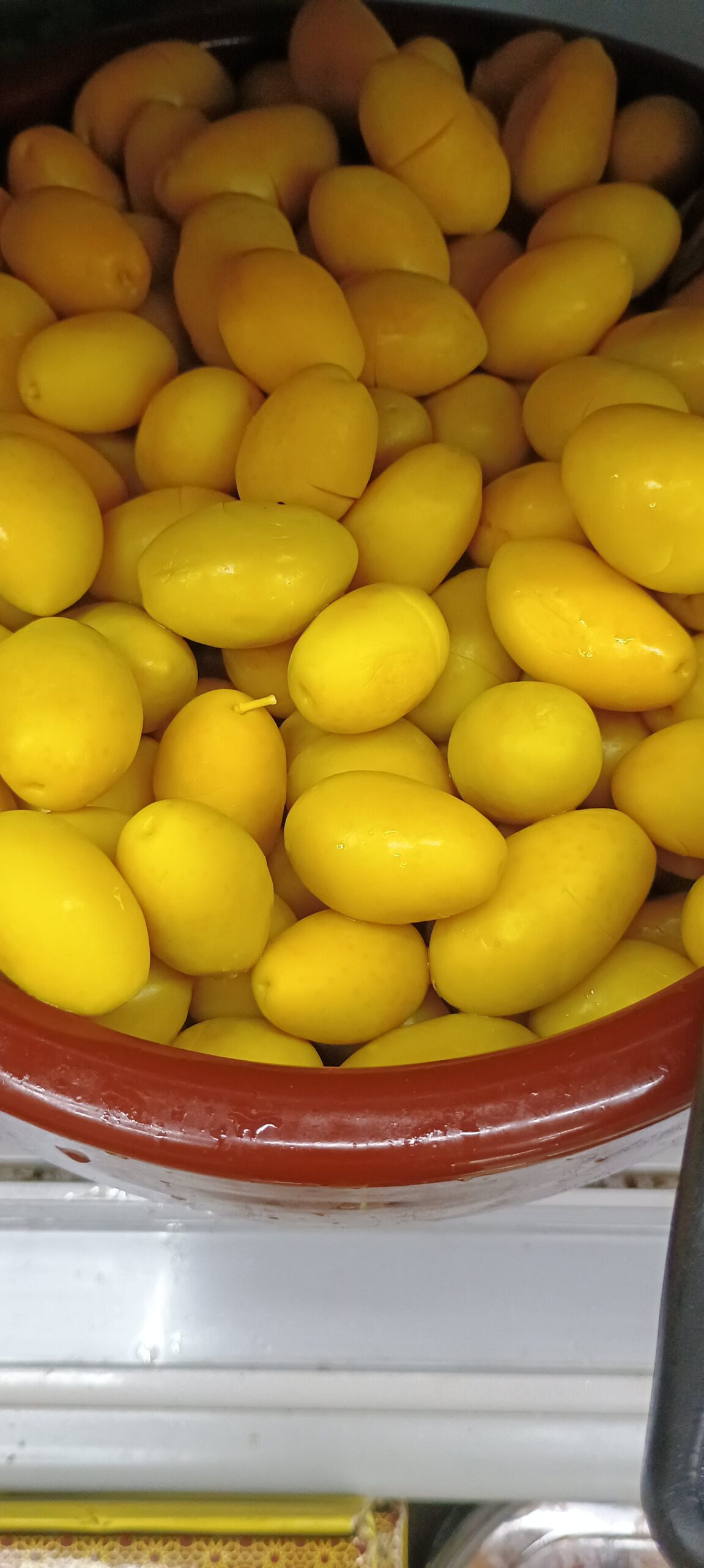 2026/08/JPEG_20260831_140336_3225986877165520399-scaled.jpg Box of Fresh Green Stuffed Olives - Image 1