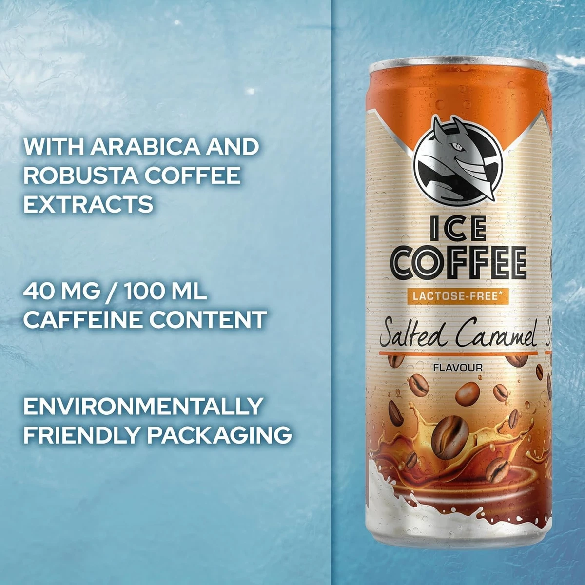 s-l1200 (7) Ice Coffee Salted Caramel - Image 1