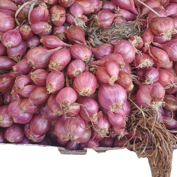 Indian Onion(kg)
